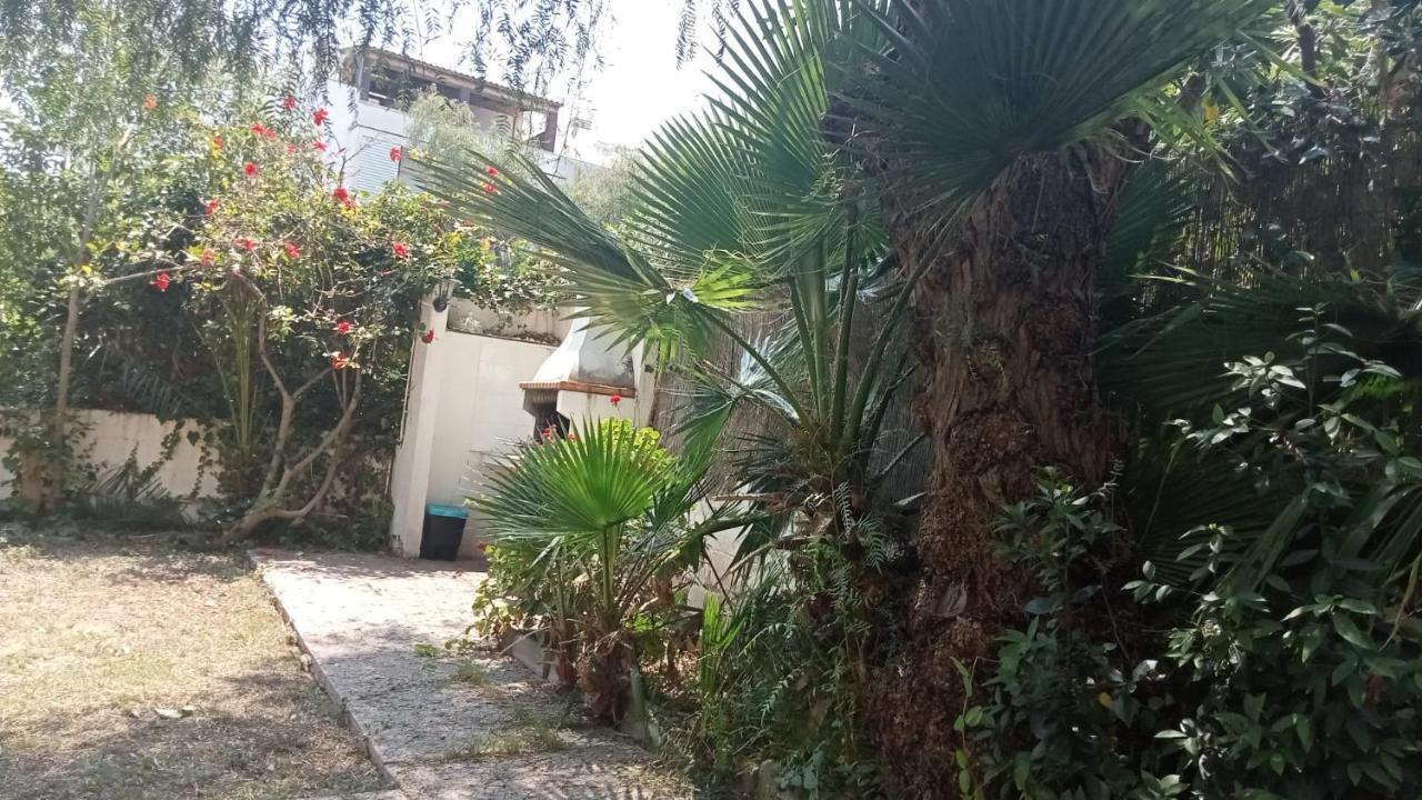 Apartamento - Jardin En Playa San Sebastian 锡切斯 外观 照片
